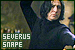  Severus Snape