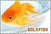  Fish: Goldfish